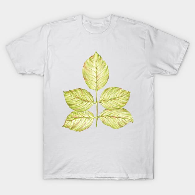 Green rose leaf T-Shirt by lisenok